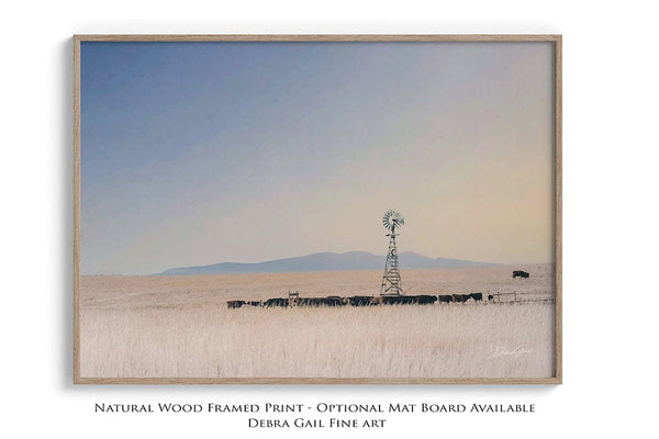 Debra Gail Fine Art Natural Wood Framed Print / 10x8 WINTER CATTLE - WINDMILL FARMHOUSE DECOR