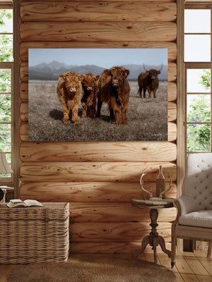 Highland cow wall art – rustic farmhouse fine art print by Debra Gail Fine Art
