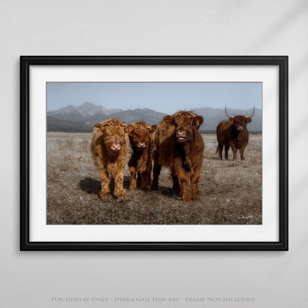 Debra Gail Fine Art NURSERY WALL ART - CUTE SCOTTISH HIGHLAND COW PRINT