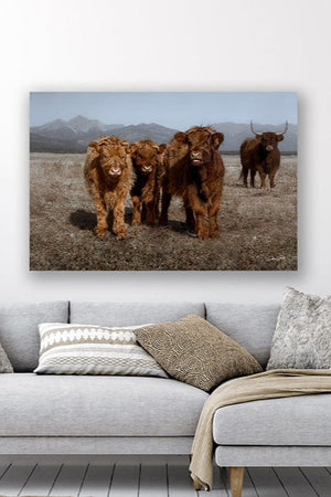 Highland cow wall art – rustic farmhouse fine art print by Debra Gail Fine Art