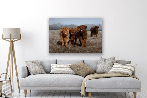 Debra Gail Fine Art NURSERY WALL ART - CUTE SCOTTISH HIGHLAND COW PRINT