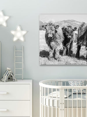Highland cow wall art – farmhouse decor fine art photography by Debra Gail Fine Art
