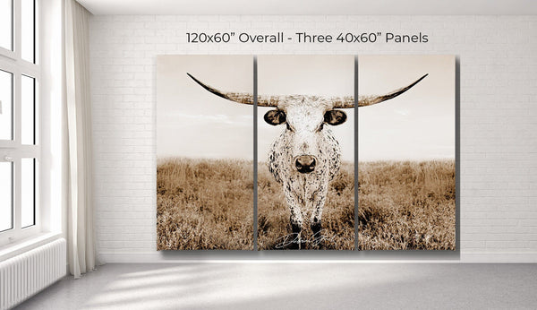 Debra Gail Fine Art OVERSIZED LONGHORN WALL ART - 3 PIECE CANVAS SET