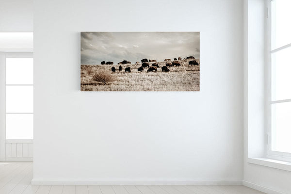 Debra Gail Fine Art Panoramic Bison Herd | Rustic Western Decor