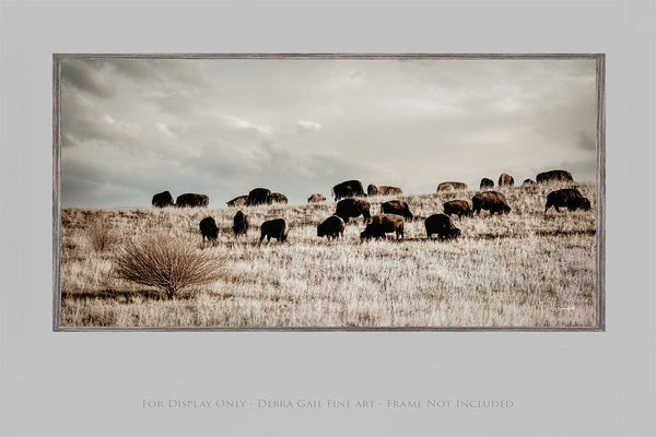 Debra Gail Fine Art Panoramic Bison Herd | Rustic Western Decor