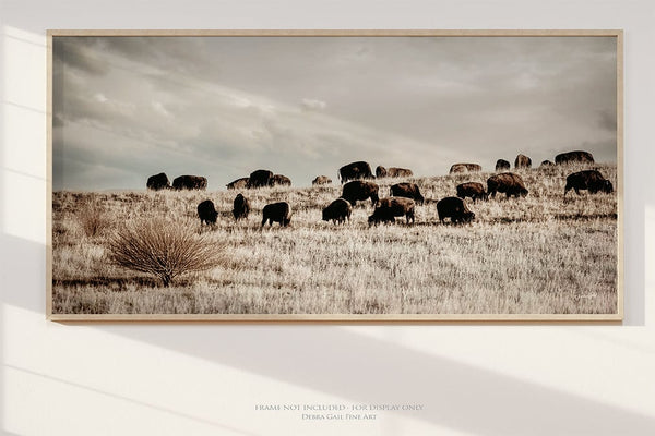 Debra Gail Fine Art Panoramic Bison Herd | Rustic Western Decor