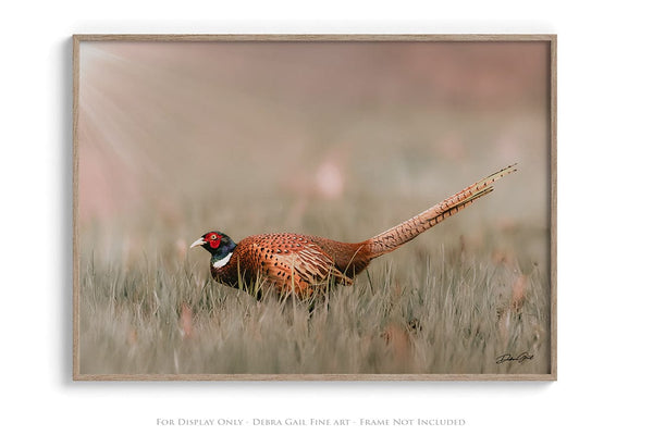 Debra Gail Fine Art Pheasant Wall Art - Rustic Nature Decor No. 0642