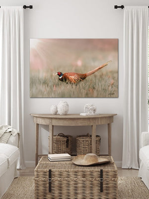 Pheasant wall art – canvas framed print Kansas prairie fine art photography by Debra Gail Fine Art