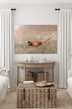 Pheasant wall art – canvas framed print Kansas prairie fine art photography by Debra Gail Fine Art
