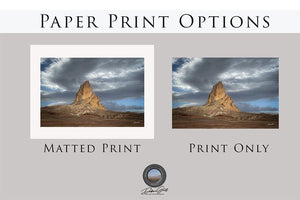 Southwest wall art – desert landscape photography print by Debra Gail Fine Art