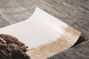 Buffalo fine art print – Great Plains wildlife wall decor by Debra Gail Fine Art