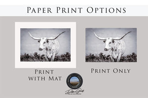 Longhorn wall decor – rustic Western fine art print by Debra Gail Fine Art