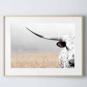 Texas Longhorn wall canvas barnwood framed Western fine art print by Debra Gail Fine Art