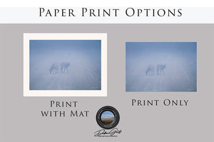 Elk wall art – Western wildlife fine art photography by Debra Gail Fine Art