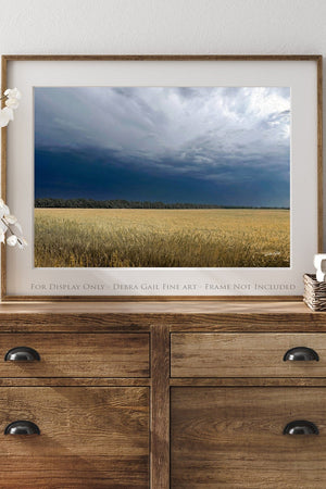 Wheat field wall art – Kansas prairie agriculture photography by Debra Gail Fine Art