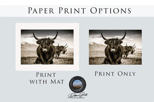 Highland cow wall art – rustic farmhouse fine art print by Debra Gail Fine Art