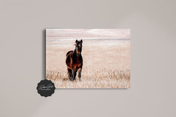 Debra Gail Fine Art Photo Print / 10x8 HORSE ON THE PRAIRIE - WESTERN DECOR PRINT