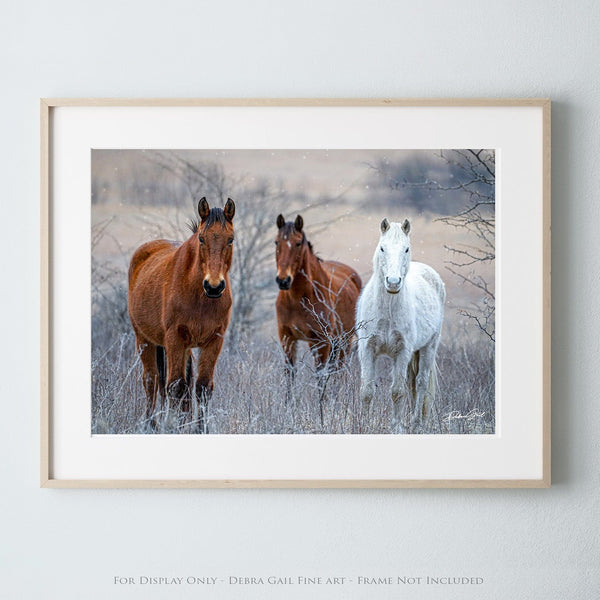 Debra Gail Fine Art Photo Print / 10x8 HORSES IN WINTER - NATURE PHOTOGRAPHY DECOR