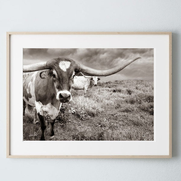 Debra Gail Fine Art Photo Print / 10x8 Large Longhorn Western Wall Art