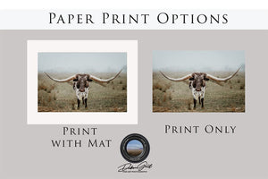 Longhorn cow wall decor canvas – rustic Western fine art print by Debra Gail Fine Art