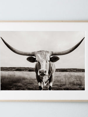 Longhorn cow wall decor canvas – rustic Western fine art print by Debra Gail Fine Art