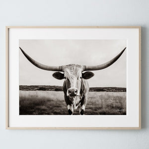 Longhorn cow wall decor canvas – rustic Western fine art print by Debra Gail Fine Art