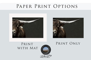 Texas Longhorn wall art – Western ranch photography print by Debra Gail Fine Art