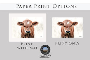 Longhorn cow calf wall at canvas – rustic Western fine art print by Debra Gail Fine Art