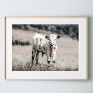 Debra Gail Fine Art Photo Print / 10x8 Longhorn Canvas Wall Art in Farmhouse Colors