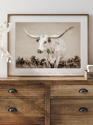Texas Longhorn wall canvas barnwood framed Western fine art print by Debra Gail Fine Art
