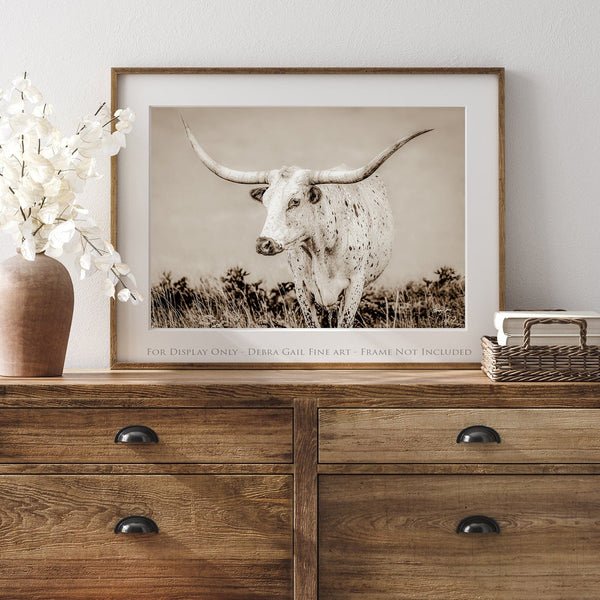 Debra Gail Fine Art Photo Print / 10x8 Longhorn Canvas Wall Art in Neutral Farmhouse Colors