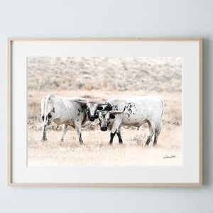 Debra Gail Fine Art Photo Print / 10x8 Longhorn Canvas Wall Art in Neutral Farmhouse Colors
