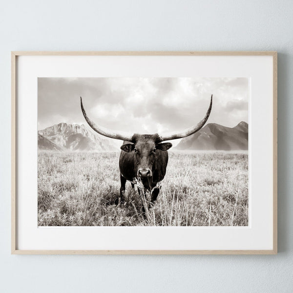 Debra Gail Fine Art Photo Print / 10x8 Longhorn Canvas Wall Art in Sepia Farmhouse Colors