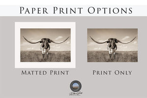 Longhorn wall canvas barnwood framed Western fine art print by Debra Gail Fine Art