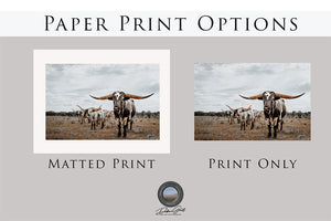 Longhorn wall decor – rustic Western fine art print by Debra Gail Fine Art