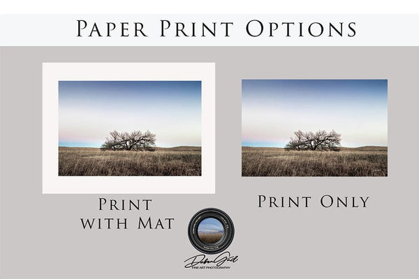 Debra Gail Fine Art Photo Print / 10x8 Minimalist Kansas Flint Hills Tree Art Print Decor