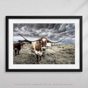 Longhorn cow wall decor canvas – rustic Western fine art print by Debra Gail Fine Art