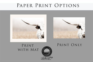 Texas Longhorn wall art – Western ranch photography print by Debra Gail Fine Art