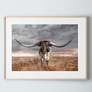 Texas Longhorn wall canvas barnwood framed Western fine art print by Debra Gail Fine Art