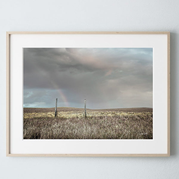 Debra Gail Fine Art Photo Print / 10x8 PASTURE IN THE FLINT HILLS - RUSTIC FARMHOUSE DECOR