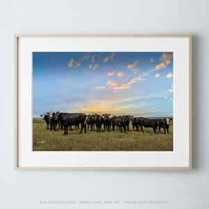 Angus cow canvas wall art – Western ranch fine art photography by Debra Gail Fine Art