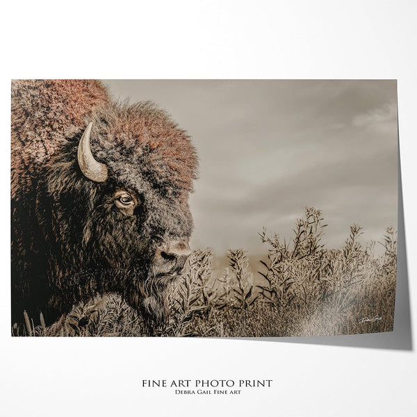 Debra Gail Fine Art Photo Print / 10x8 Rustic Bison Western Wall Art - Fine Art Canvas or Print No. 2185