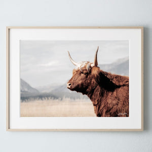Highland cow wall art – rustic farmhouse fine art print by Debra Gail Fine Art