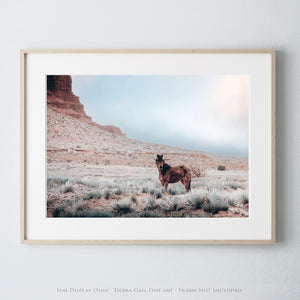 Debra Gail Fine Art Photo Print / 10x8 SOUTHWEST WILD HORSE ART PRINT