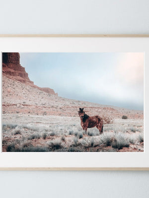 Wild Horse wall art – rustic Western fine art print by Debra Gail Fine Art
