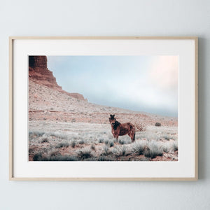 Wild Horse wall art – rustic Western fine art print by Debra Gail Fine Art