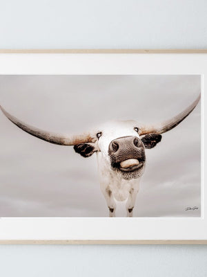 Texas Longhorn wall art – Western ranch photography print by Debra Gail Fine Art