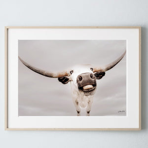 Texas Longhorn wall art – Western ranch photography print by Debra Gail Fine Art