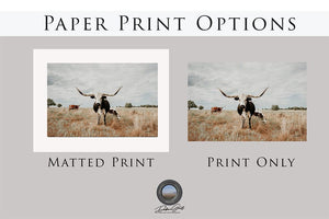 Longhorn cow wall decor canvas – rustic Western fine art print by Debra Gail Fine Art