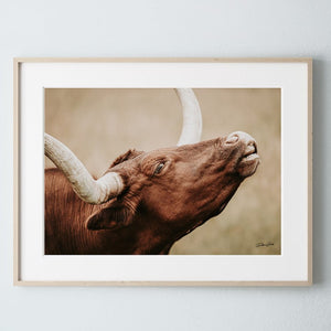 Texas longhorn canvas wall art Western style decor large cow print framed gallery